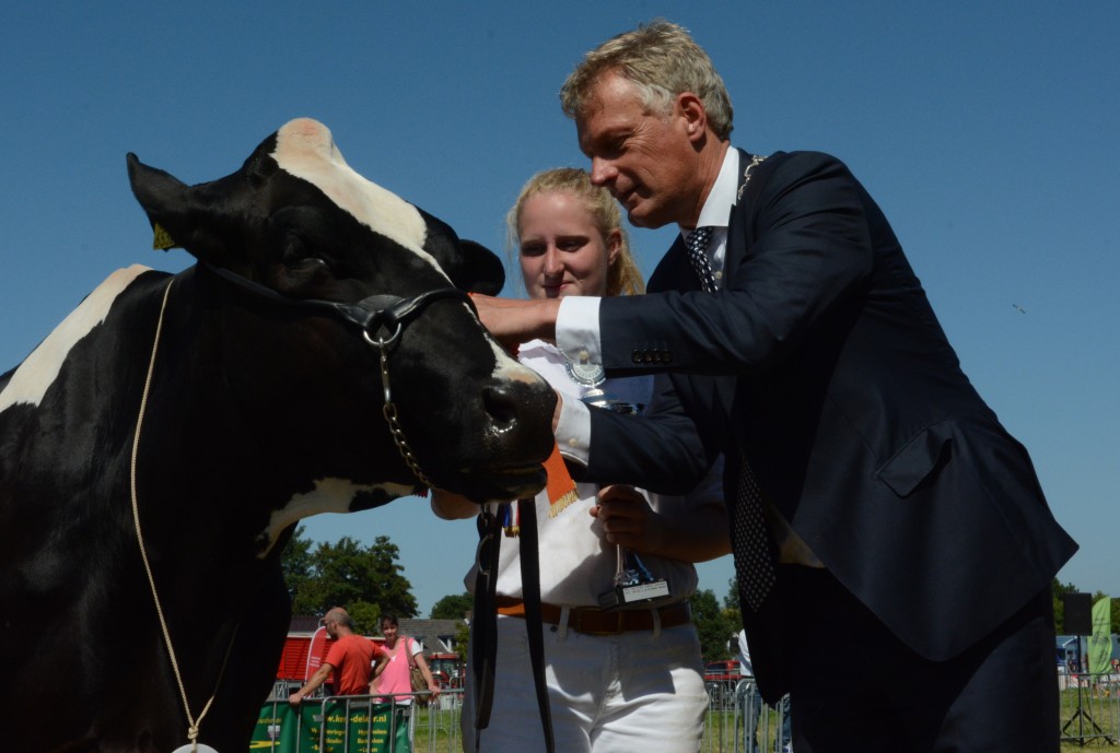 Carla 109 is weer de mooiste koe van de Zuid-Hollandse Eilanden