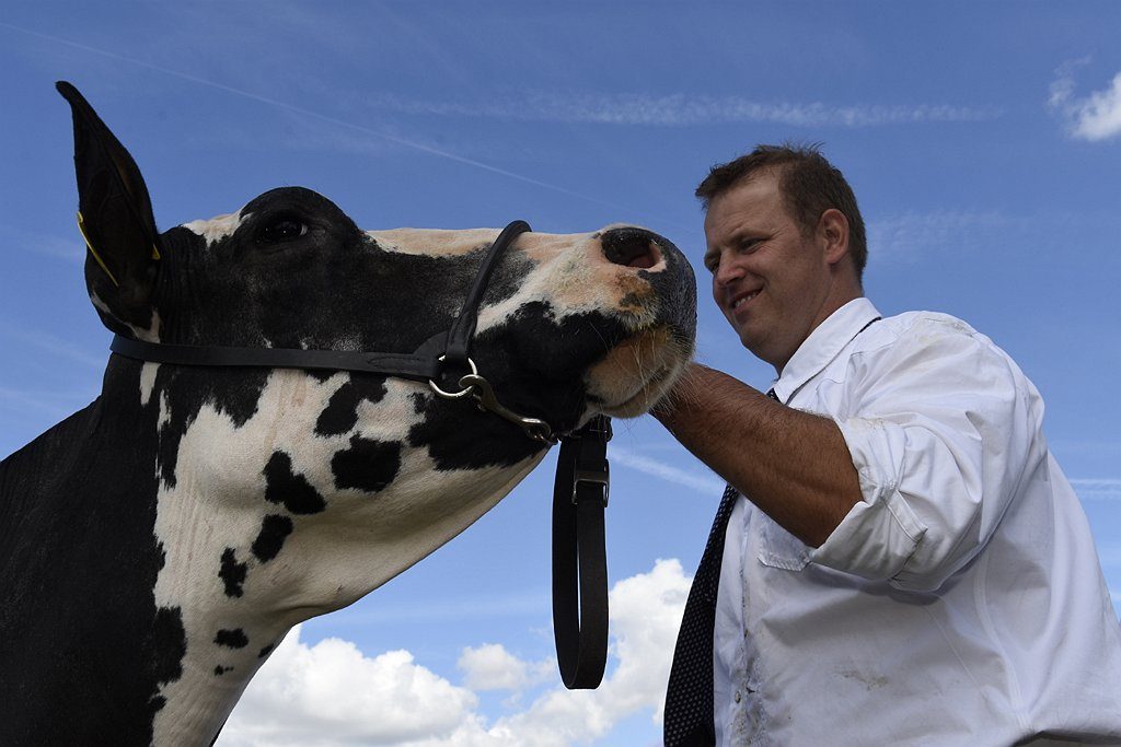 Grana's Pie is zaterdag 11 augustus tijdens de 61e Fokveedag Hellevoetsluis verkozen tot de mooiste koe van de Zuid-Hollandse eilanden. Een opmerkelijke prestatie voor een tien jaar oude melkkoe, die in haar leven al meer dan 92.000 liter melk heeft gegeven.